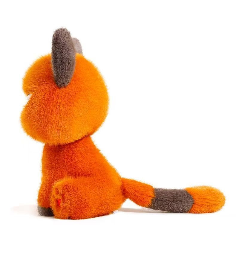 Moody Oyen
